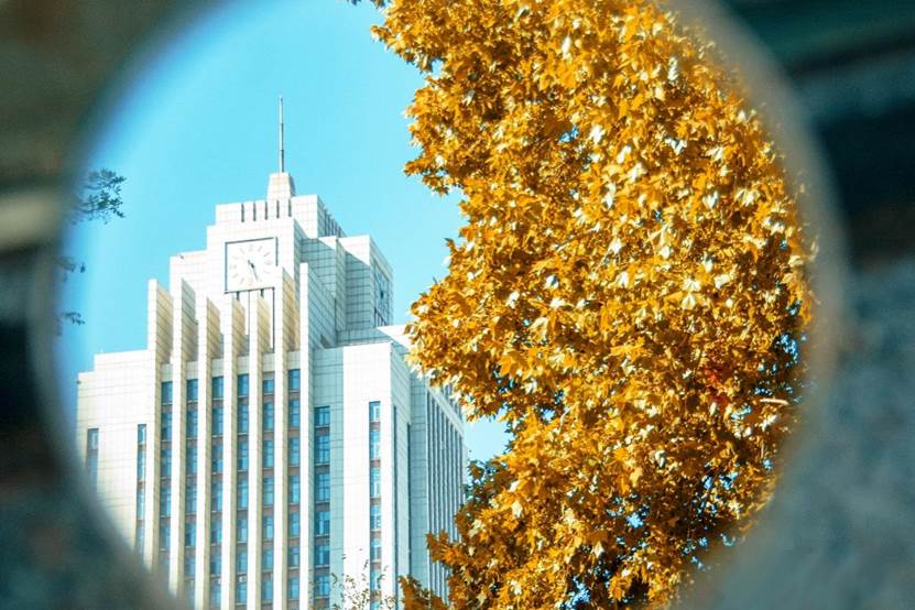 图片包含 树, 桌子, 大, 游戏机 描述已自动生成